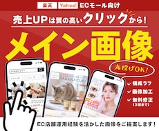 ECモール向けメイン画像(第一画像)を作成します イメージ1