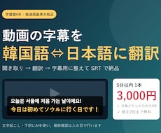字幕歴6年｜韓国語⇔日本語の動画字幕を翻訳します イメージ1