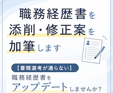 職務経歴書を添削・修正案を加筆します イメージ1