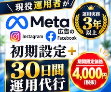 Meta広告の初期設定と30日間運用を代行します イメージ1
