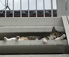 辛いなと思いましたらご連絡くださいアドバイスします イメージ1