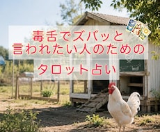毒舌でズバッと言われたい方とお話しします イメージ1