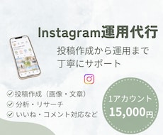 Instagram運用を丁寧にサポートします イメージ1