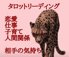 子育て、恋愛、復縁、仕事、人間関係、占います イメージ1