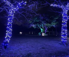 その不安取り除きます イメージ1