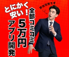 慶應生チームが三万円でどんなアプリでも開発します イメージ1