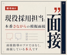 現役の採用担当が、本番と同じ模擬面接をしますます 面接指導のプロではなく、面接している本人です