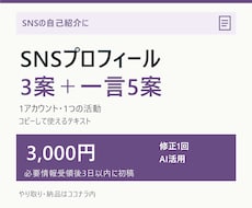 SNSプロフィール文を3案と一言5案作成します イメージ1