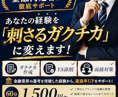 面接官に伝わるガクチカ作りをお手伝いします イメージ1