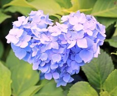 易で鑑定します 易が答えを教えてくれるでしょう