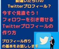 王道のTwitterプロフ作り方伝授します あなたのプロフは勘違いしてるかも。正しい作り方を教えます