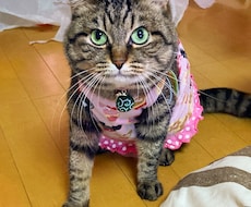 恋.うつ病.生活保護.人間関係等の悩み愚痴聞きます イメージ1