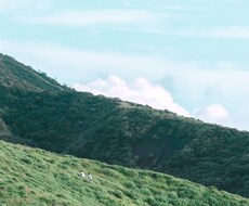 あなたの写真をもっと魅力的にレタッチします イメージ1