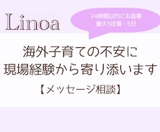 海外子育ての不安に現場経験から寄り添います バイリンガル環境や発達の様々なお悩みに　最大3往復・5日