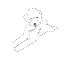 ペットのお写真をゆるいラインアートで描きます イメージ1