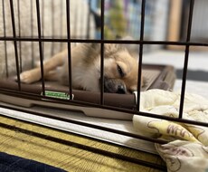 ゲイですがよかったら。今すぐ話したい方お話聞きます イメージ1