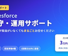 Salesforceの保守運用を月額で代行します イメージ1