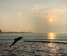 あなたの抱えているお悩み、なんでもお聴きします イメージ1