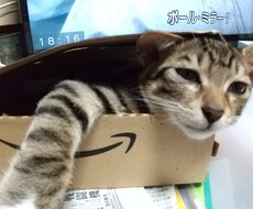 四男一女のシングルマザーがあなたのお話聴きます イメージ1