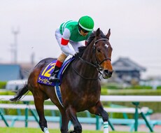 競馬予想！！中央競馬 軸馬を教えます