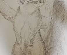 亡くなったペットや好きな動物描きます イメージ1