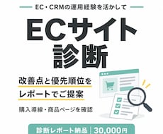 ECサイトを診断し改善策をレポートでご提案します 購入導線・商品ページを確認し、改善の優先順位を整理