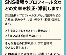 SNS初心者向け投稿テンプレ作ります イメージ1