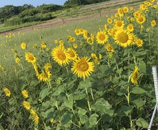仕事の愚痴や日常的的な内容、恋愛何でも相談のります イメージ1