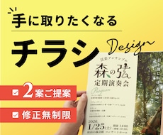 目に留まる印象的なチラシ作ります ★修正無制限・デザイン案2案★