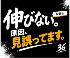 Ｘ運用を分析し改善点をご提案します 伸びない原因を分析、あなただけの改善プランを作成します