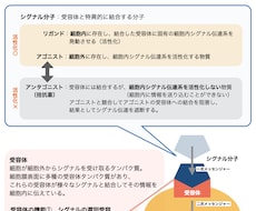 紙面デザインいたします わかりやすく、見やすい誌面作ります！