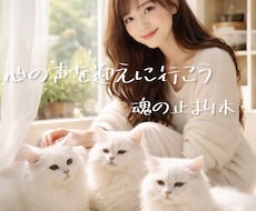 猫のいる癒し処で心の声を迎えにいくお手伝いします イメージ1
