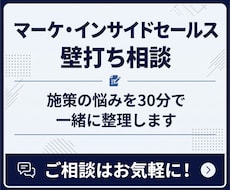 マーケ・インサイドセールスの壁打ち相談に乗ります イメージ1