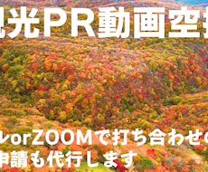 観光PR動画空撮1時間　最新機体での空撮を承ります イメージ1
