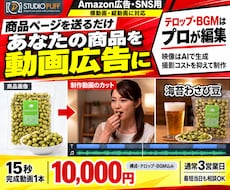 商品ページを送るだけ！プロが動画広告を制作します イメージ1