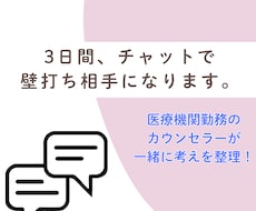 3日間、チャットで壁打ち相手になります イメージ1