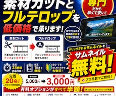 素材カットとフルテロップを低価格で承ります イメージ1