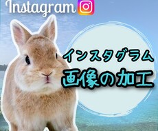 インスタ投稿画像の加工・文字入れします 投稿に統一性をもたせてフォロワーアップ目指します！