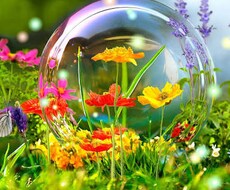 占います 。占星術とカードを組み合わせた私だけの占い。お楽しみに。