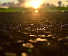 ご依頼に応じた写真撮影＋編集をします イメージ1
