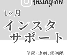 Instagramアカウント1ヶ月サポートします イメージ1