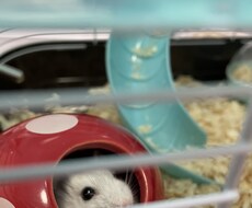 愚痴でもなんでもOK話ききます イメージ1
