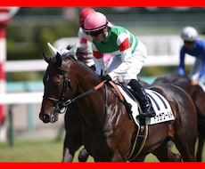 競馬予想！オッズ不要の馬連＆3連複馬券術を教えます 競馬初心者必見！1勝クラス専用の馬連＆3連複馬券術です！