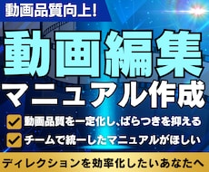 修正指示が減らせるマニュアルを作成いたします イメージ1
