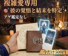 複雑愛専用・アゲなしで彼の覚悟と結末を特定します イメージ1