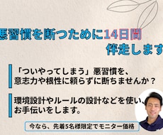 悪習慣を断つために、【14日間】伴走します イメージ1