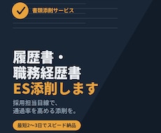 履歴書・職務経歴書・ESを添削します イメージ1