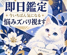 即日鑑定｜今いちばん気になる悩みズバリ視ます 今いちばん気になるテーマを恋愛・仕事・人間関係なんでも視ます