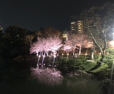 あなたの心の悩みに寄り添います イメージ1