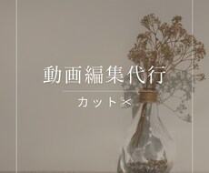 動画のカット編集承ります 動画を切り抜き分かりやすい動画にします！